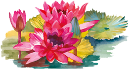 About Blooming Day Spa About Blooming Day Spa